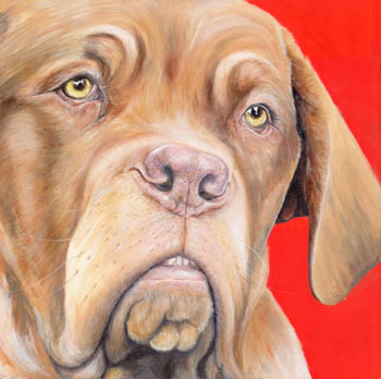 Chloe 'Dogs de Bordeaux' Oil on canvas ' NOT FOR SALE'